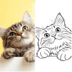 Photo To Coloring Page