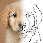 Photo To Coloring Page